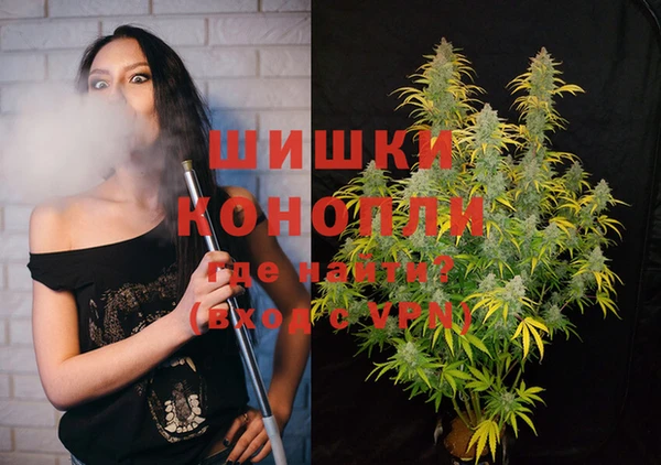 мяу мяу мука Горняк